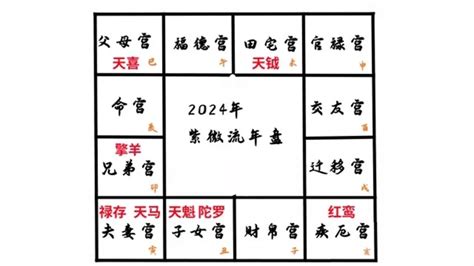 2024年四化|震豐八字：紫微斗數2024流年命盤詳解